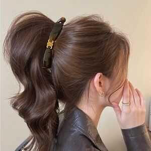 Brown Hair Clip with Gold Accent